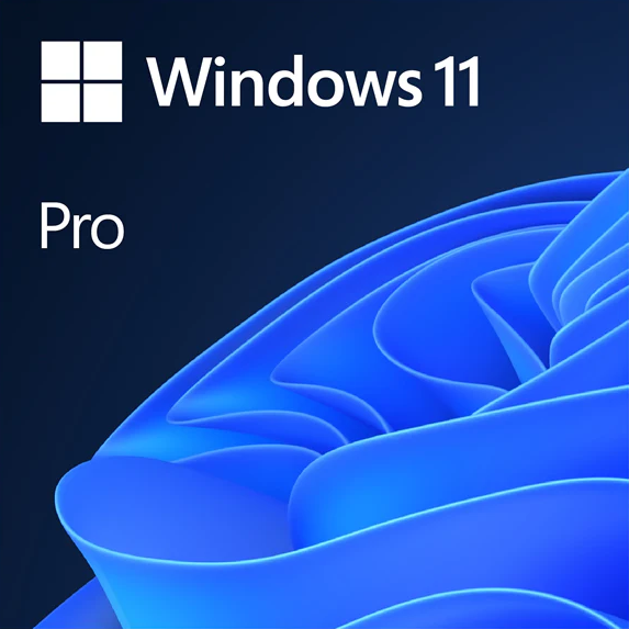 Microsoft Windows 11 Pro - Electronic Software Distribution